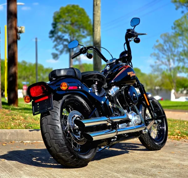 2009 Harley-Davidson Softail CROSSBONES SPRINGER - Image 18