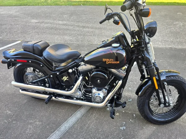 2009 Harley-Davidson Softail CROSSBONES SPRINGER - Image 10