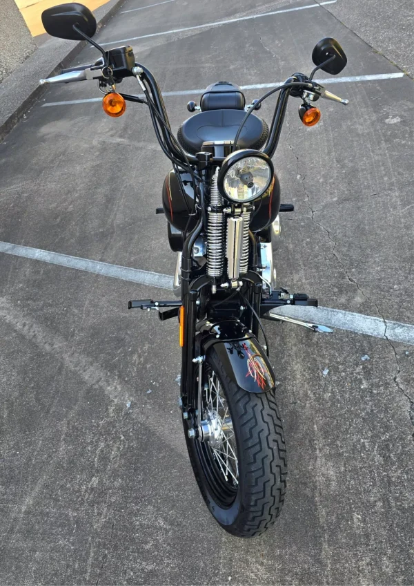 2009 Harley-Davidson Softail CROSSBONES SPRINGER - Image 7
