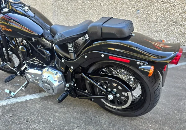 2009 Harley-Davidson Softail CROSSBONES SPRINGER - Image 6