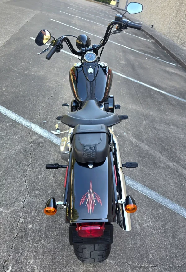 2009 Harley-Davidson Softail CROSSBONES SPRINGER - Image 5