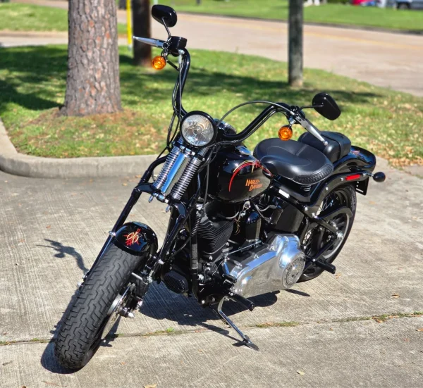 2009 Harley-Davidson Softail CROSSBONES SPRINGER - Image 17