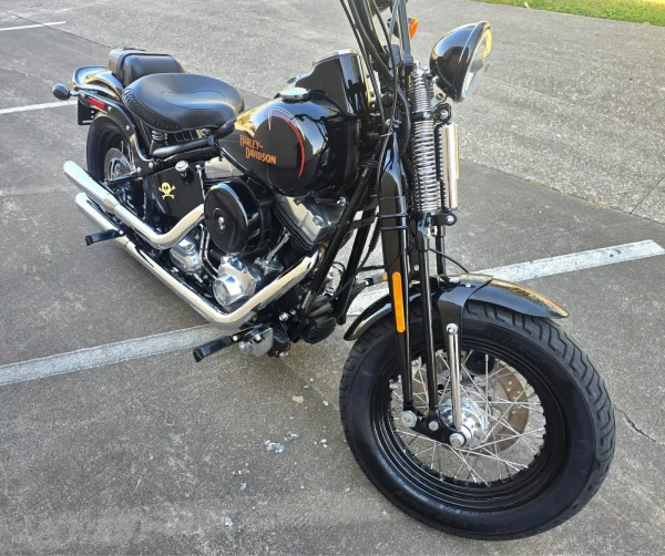 2009 Harley-Davidson Softail CROSSBONES SPRINGER - Image 14