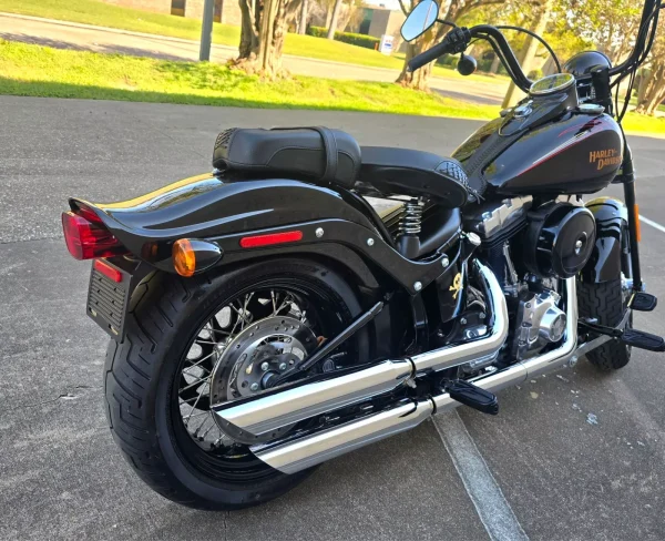 2009 Harley-Davidson Softail CROSSBONES SPRINGER - Image 13