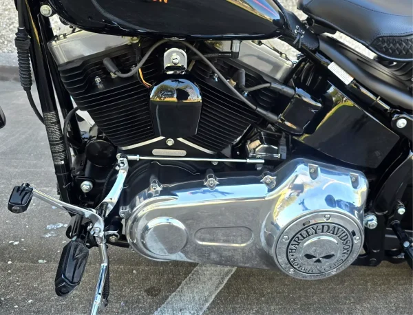 2009 Harley-Davidson Softail CROSSBONES SPRINGER - Image 12