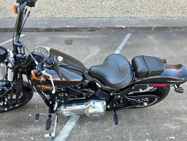 2009 Harley-Davidson Softail CROSSBONES SPRINGER - Image 3