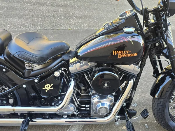 2009 Harley-Davidson Softail CROSSBONES SPRINGER
